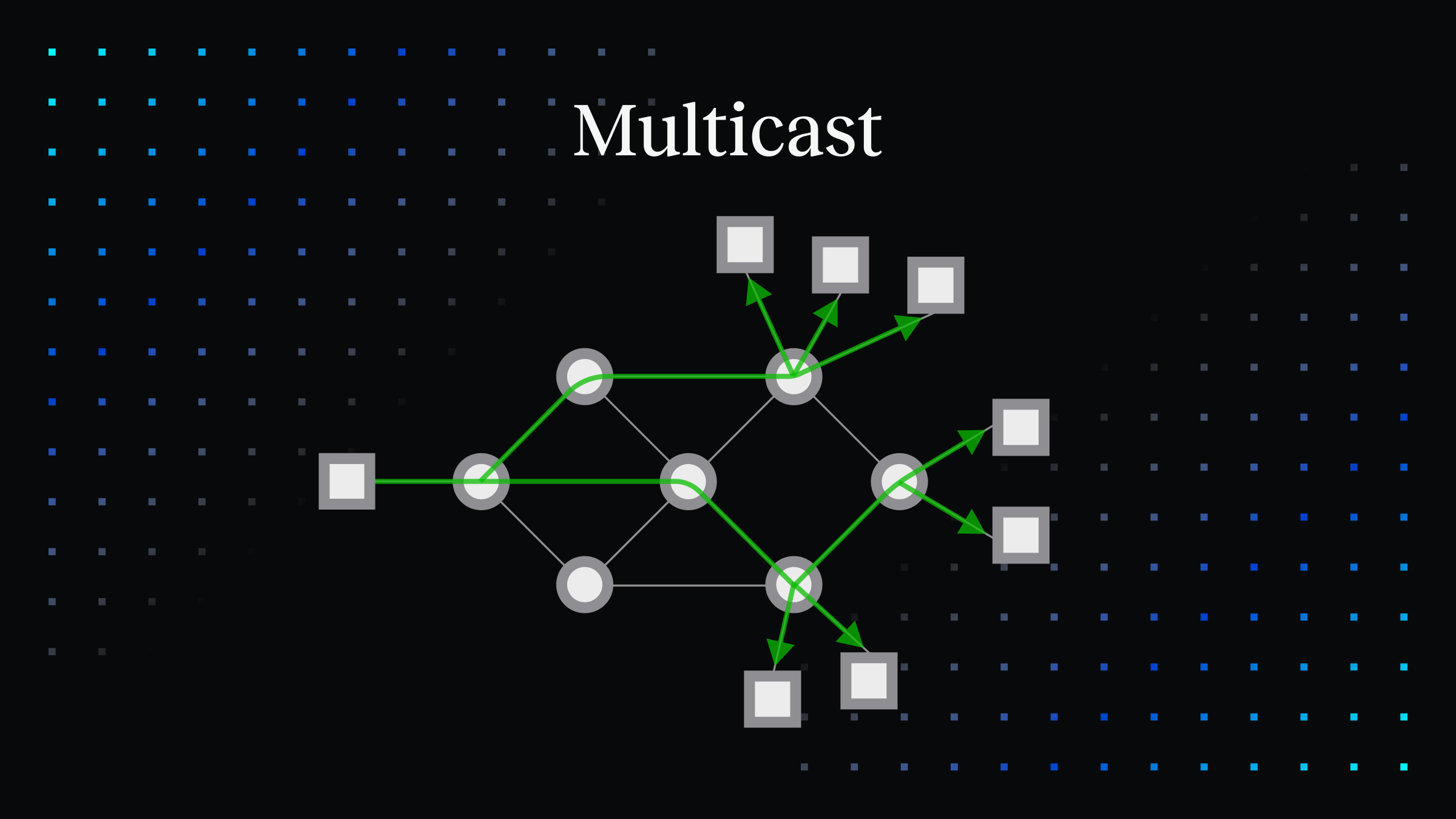 Multicast Support